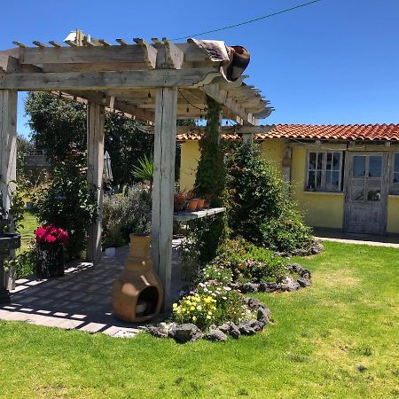 Hotel Quinta San Antonio Nopalucan de la Granja Zewnętrze zdjęcie