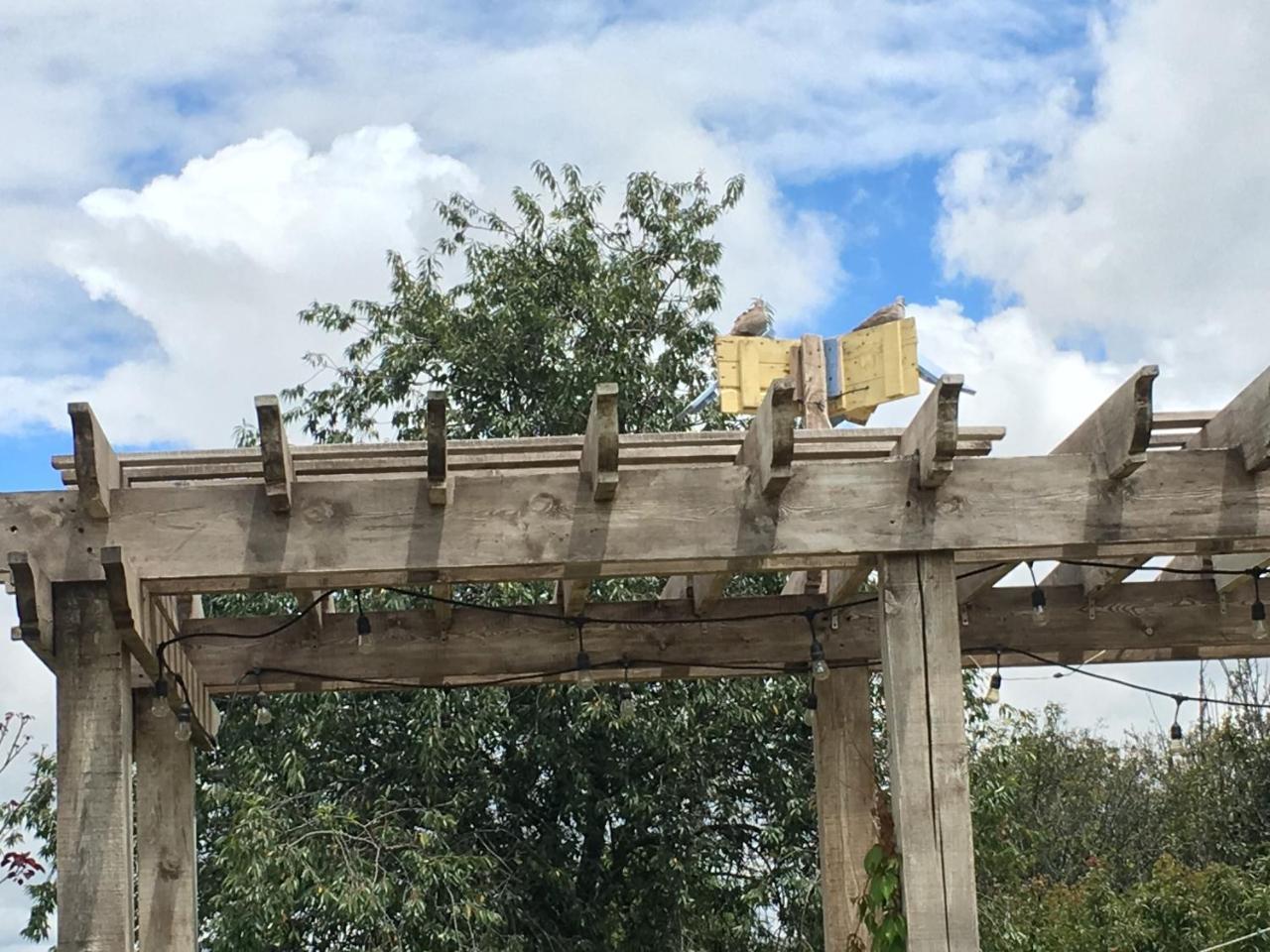 Hotel Quinta San Antonio Nopalucan de la Granja Zewnętrze zdjęcie