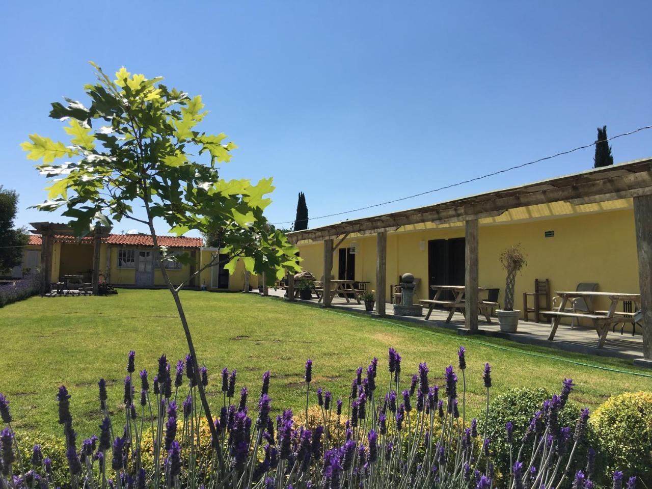 Hotel Quinta San Antonio Nopalucan de la Granja Zewnętrze zdjęcie