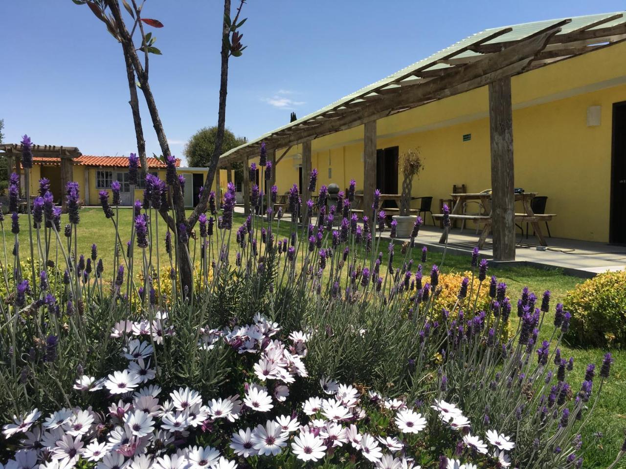 Hotel Quinta San Antonio Nopalucan de la Granja Zewnętrze zdjęcie